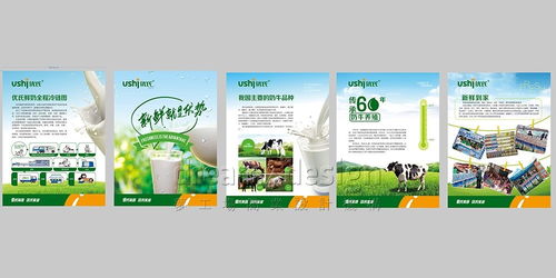 梦工场品牌策划设计案例 优氏乳业 品牌全案策划